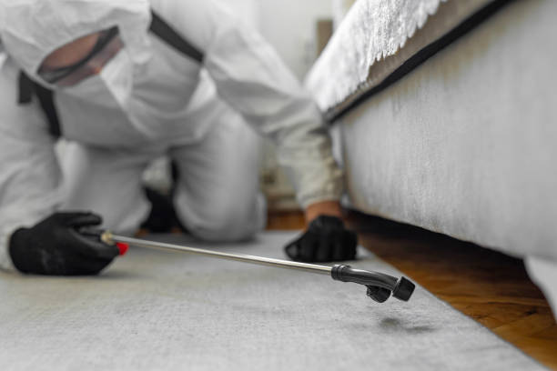 Professional Bed Bug Control technician working in Skyline-Ganipa, NM